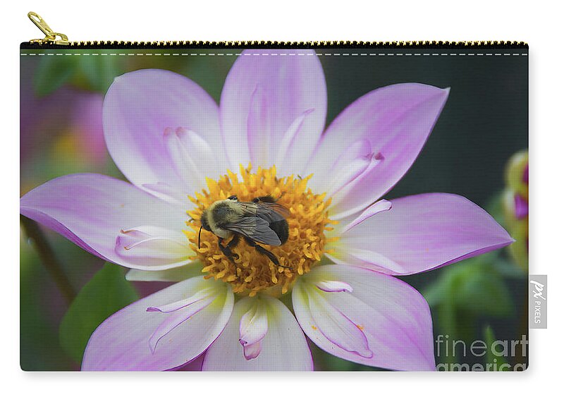 Bee Zip Pouch featuring the photograph Bee on Pink Dahlia by Lorraine Cosgrove