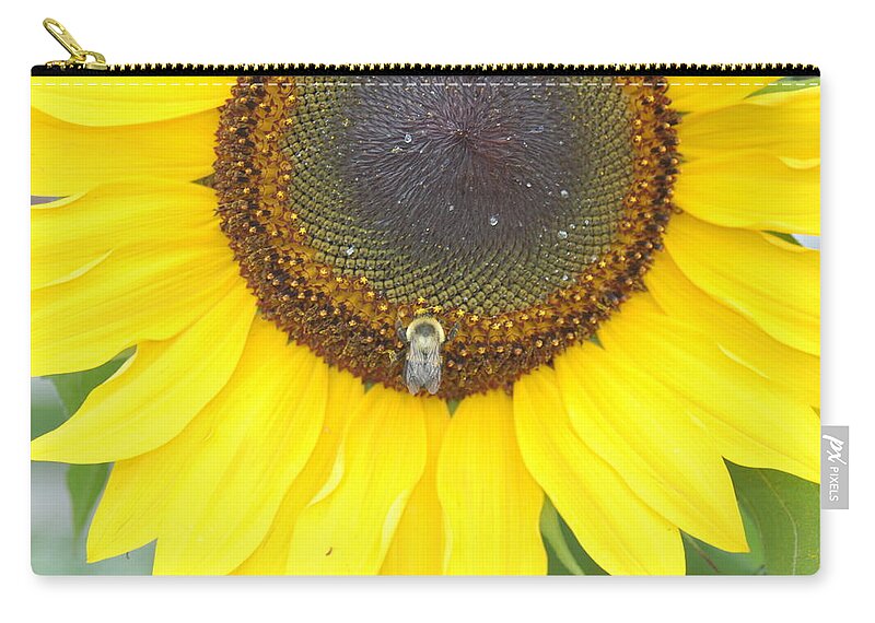 Orange Zip Pouch featuring the photograph Bee on Sunflower 7 by James Cousineau