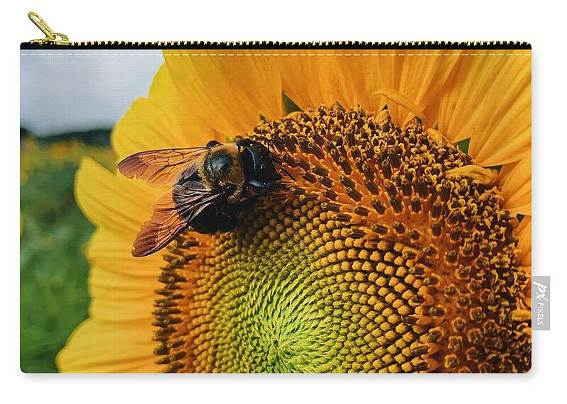 Bee Zip Pouch featuring the photograph Bee on Sunflower by Rick Nelson