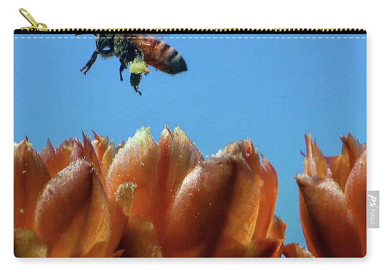 Bee Zip Pouch featuring the photograph Bee Pollen by Perry Hoffman