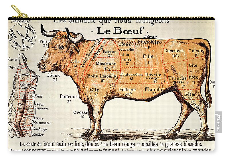 Le Boeuf; Cow; Cut; Joint; Food; Animal; Butchering Zip Pouch featuring the drawing Beef by French School