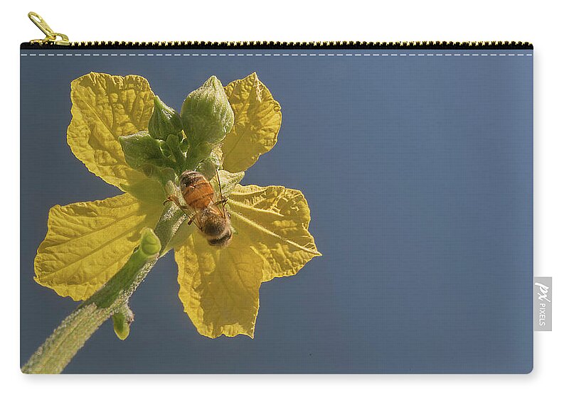 Yellow Flower Zip Pouch featuring the photograph Yellow Flower in the Blue Sky by Puttaswamy Ravishankar