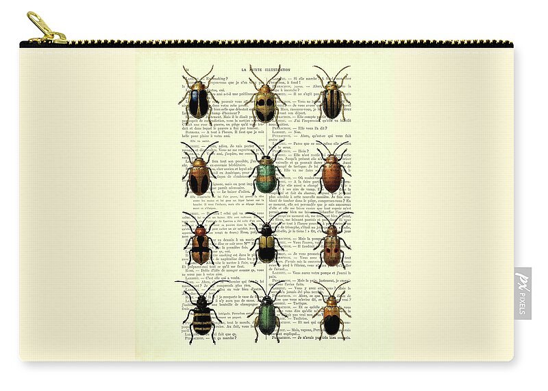 Beetle Zip Pouch featuring the digital art Beetle collection on antique French book page by Madame Memento