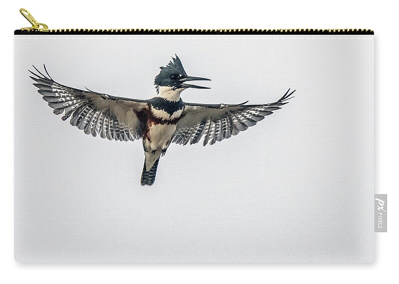 Belted Kingfisher Zip Pouch featuring the photograph Belted Kingfisher 7264-012321-2 by Tam Ryan