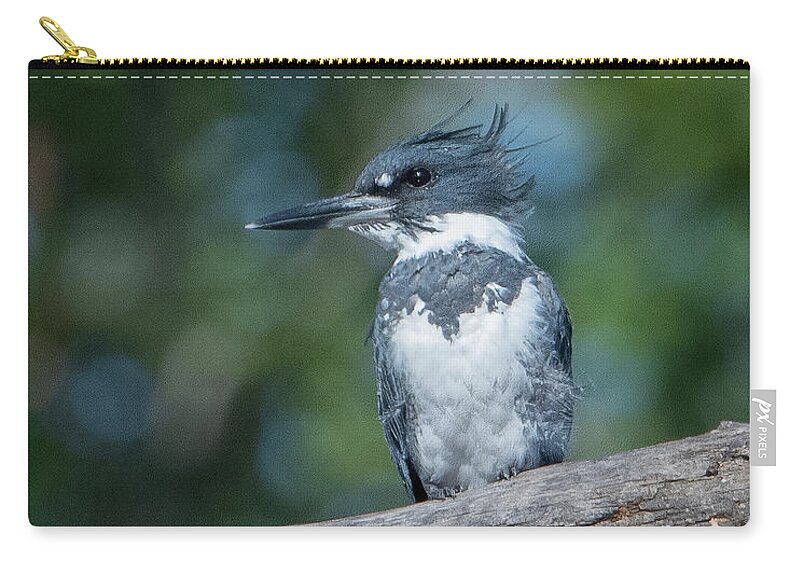 Nature Zip Pouch featuring the photograph Belted Kingfisher DSB0380 by Gerry Gantt