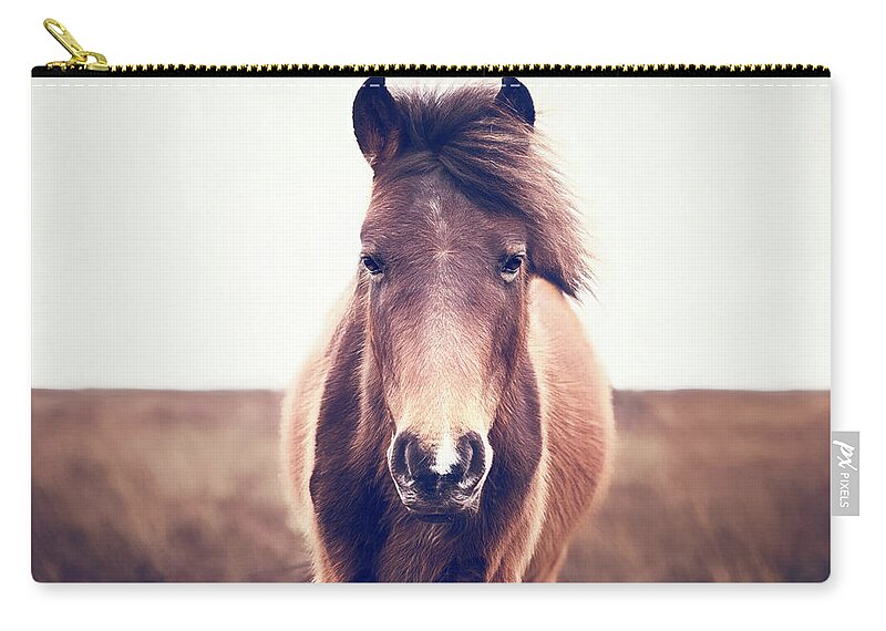 Photographs Zip Pouch featuring the photograph Benny III - Horse Art by Lisa Saint