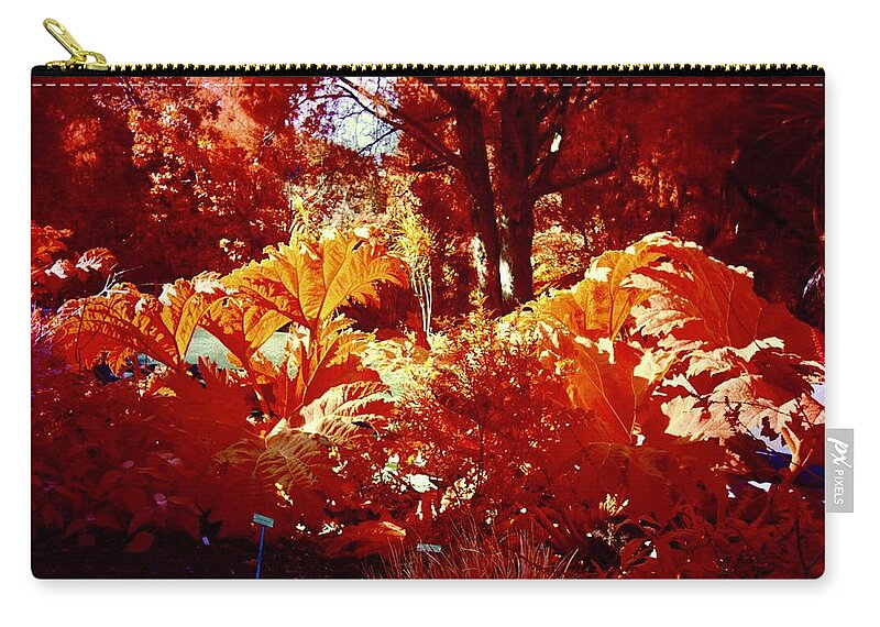 Infrared Zip Pouch featuring the photograph Berkeley Botanical 1 by Donna Crosby
