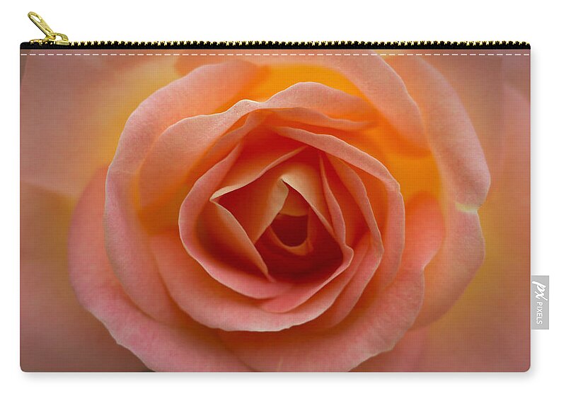 Rose Zip Pouch featuring the photograph Bern Rose by Carrie Hannigan