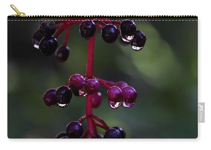 Rose Grape Carry-all Pouch featuring the photograph Rose Grape 2 by Mingming Jiang