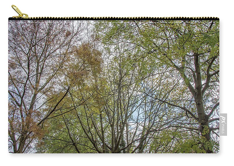 Bethune Park Zip Pouch featuring the photograph Bethune Park Trees Fall by Edmund Peston