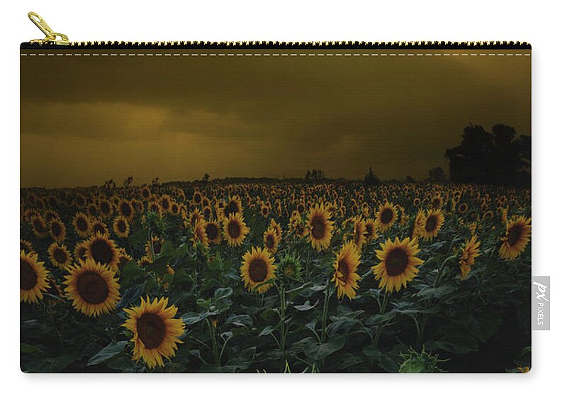 Sunflowers Zip Pouch featuring the photograph Between Death and Dreams by Aaron J Groen