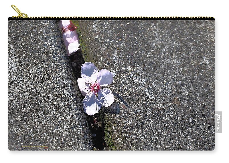 Cherry Blossom Zip Pouch featuring the photograph Between the Crack by Richard Thomas