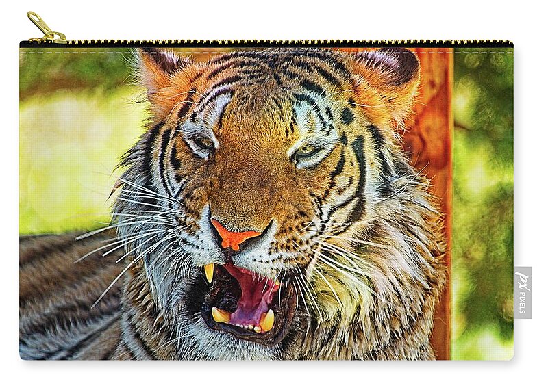 Animal Zip Pouch featuring the photograph Big Cat Yawning by David Desautel