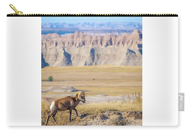 America Zip Pouch featuring the photograph Big Horn Posing in the Badlands by Erin K Images