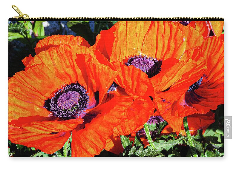 Flowers Zip Pouch featuring the photograph Big Reds by Claude Dalley
