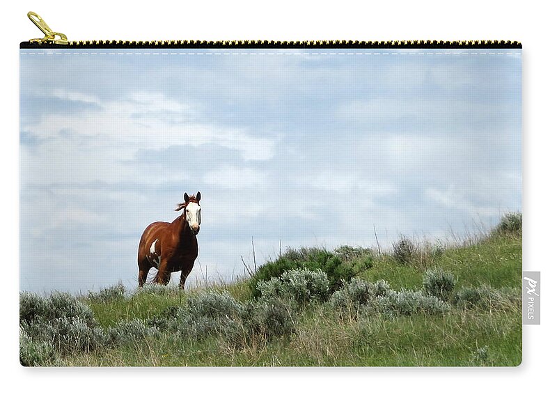 Horse Zip Pouch featuring the photograph Big Sky Paint by Katie Keenan
