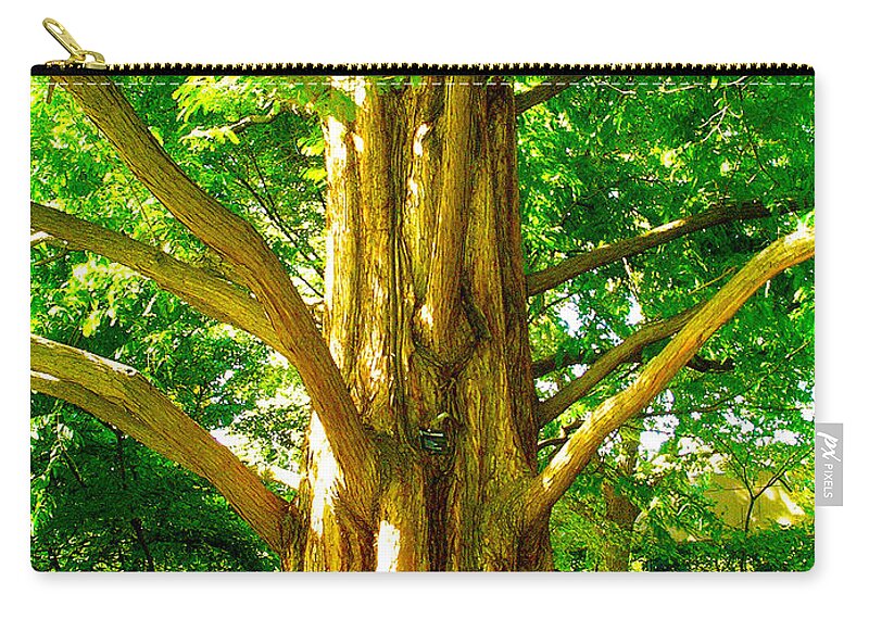 Landscape Zip Pouch featuring the photograph Big Spikey Tree Woods by Patrick Malon
