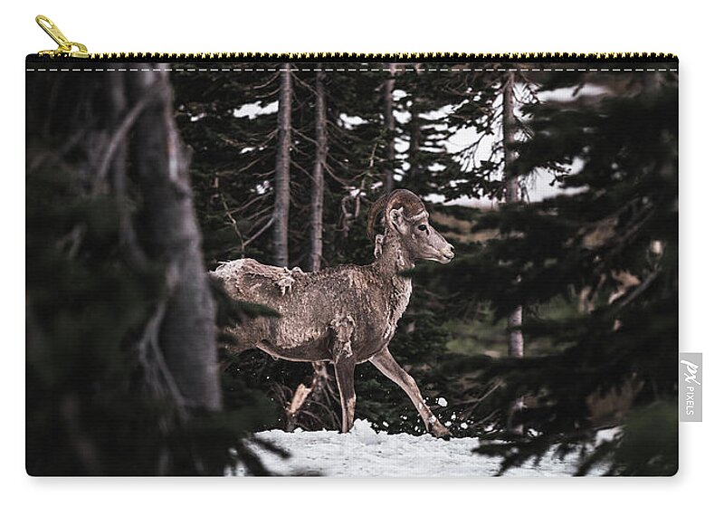  Zip Pouch featuring the photograph Bighorn in Snow by William Boggs