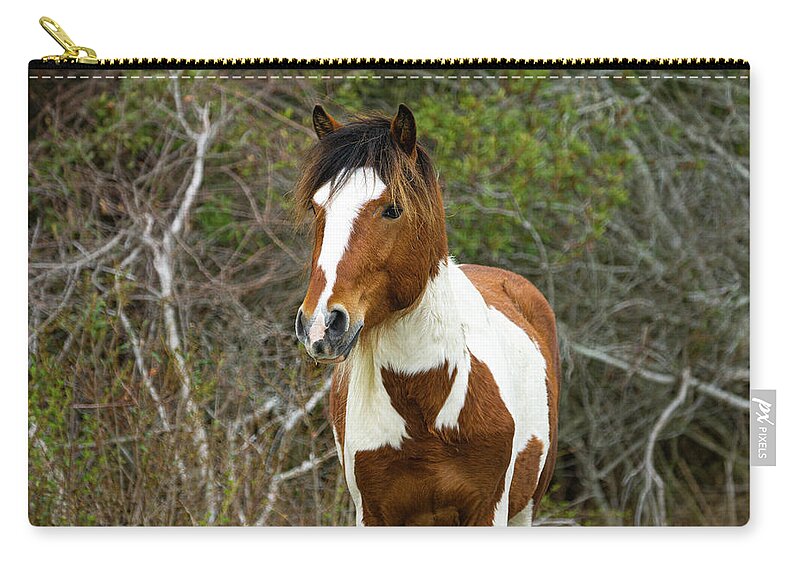Pony Zip Pouch featuring the photograph Billy Bob by Dan Adams
