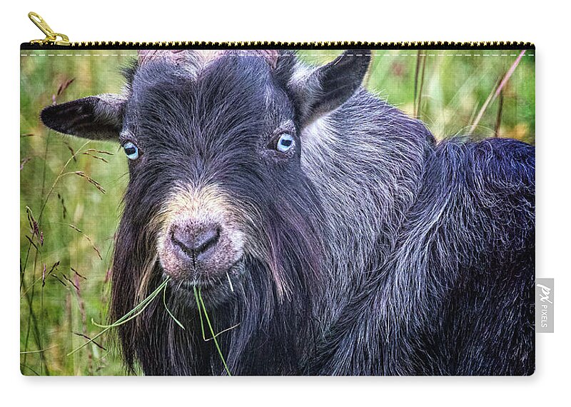 Billy Goat Zip Pouch featuring the photograph Billy Goat Gruff by Jaki Miller