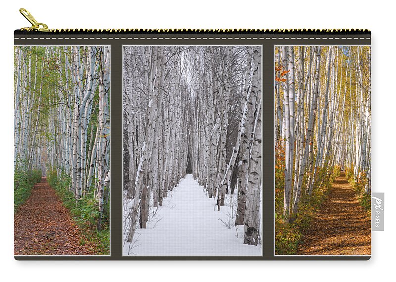 Birch Zip Pouch featuring the photograph Birch Path Three Season Collage by White Mountain Images