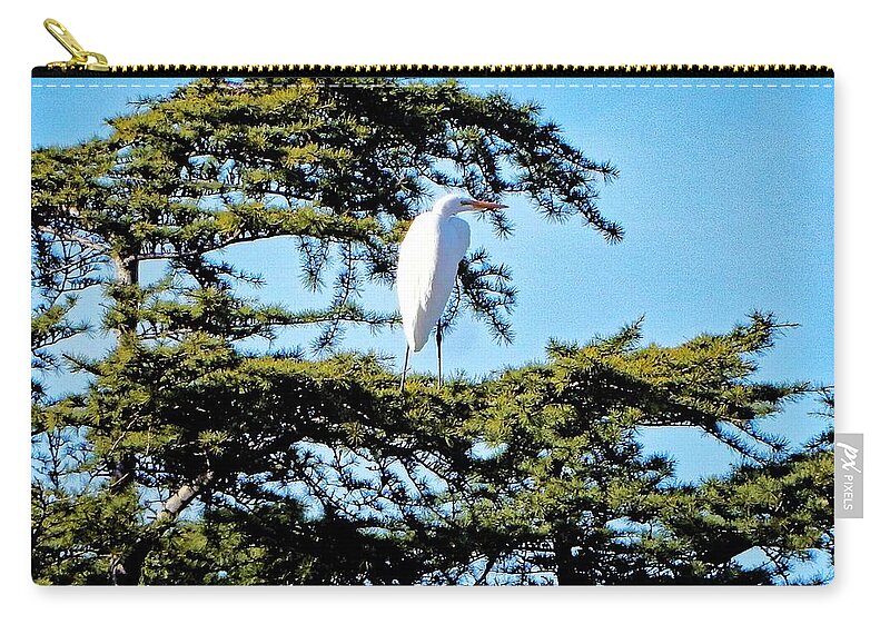 Bird Zip Pouch featuring the photograph Bird High Right by Andrew Lawrence