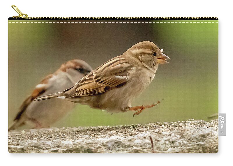Wildlife Zip Pouch featuring the photograph Bird Hop by William Bretton