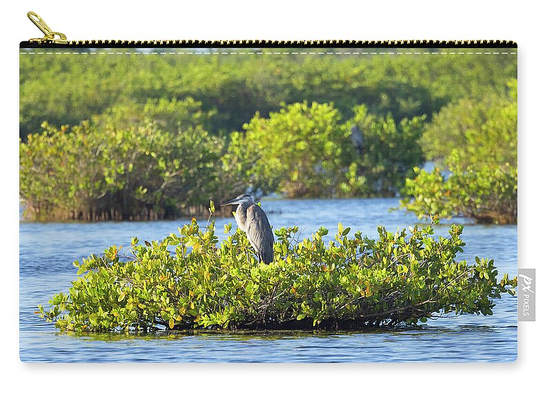 R5-2627 Carry-all Pouch featuring the photograph Bird Island by Gordon Elwell