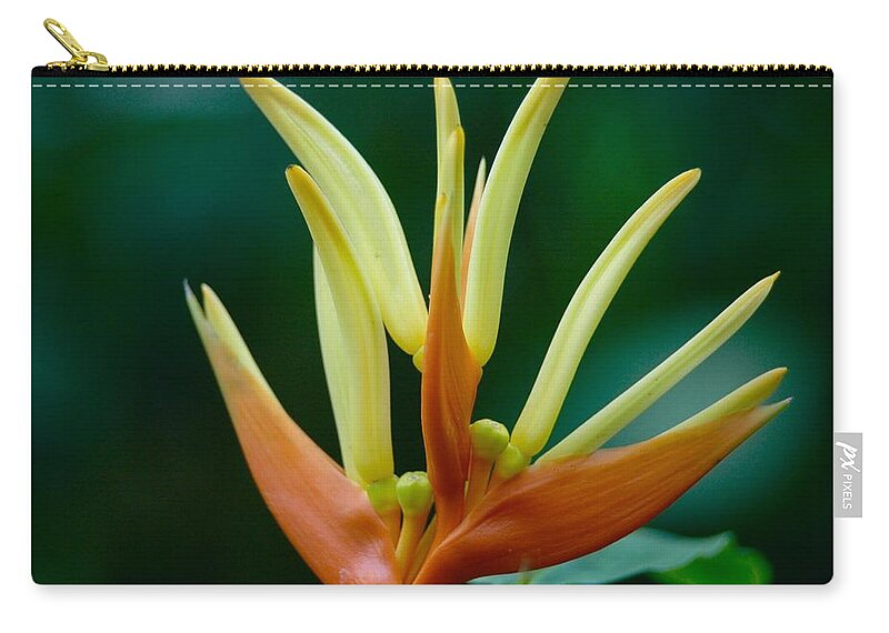 Flower Carry-all Pouch featuring the photograph Bird of Paradise by Kerry Obrist