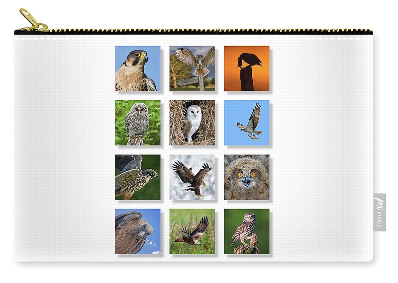 Collage Zip Pouch featuring the photograph Birds of Prey by Arterra Picture Library