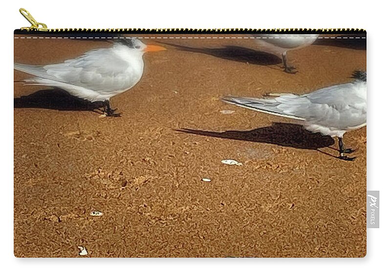 Flagler Beach Zip Pouch featuring the photograph Birids of a Feather by George Taylor