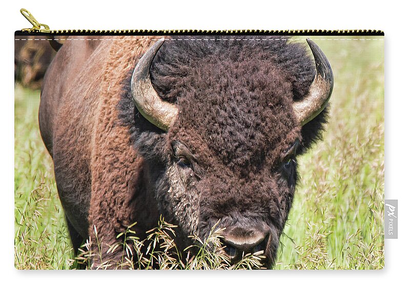 Bison Zip Pouch featuring the photograph Bison 5 by Joe Granita