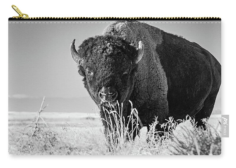 Bison Zip Pouch featuring the photograph Bison in Black and White by Mindy Musick King