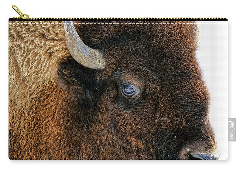 Buffalo Zip Pouch featuring the photograph Bison in Winter by Olivier Le Queinec