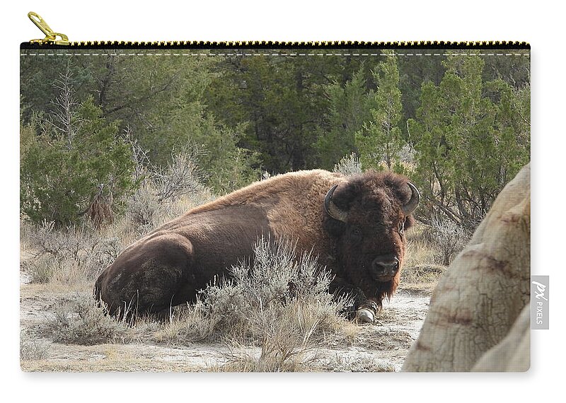 Bison Zip Pouch featuring the photograph Bison On The Trail 2 by Amanda R Wright