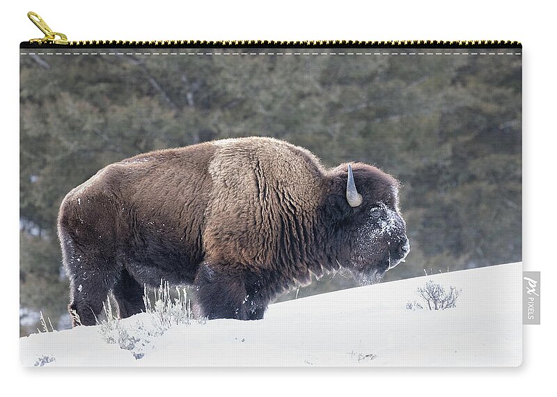 Yellowstone National Park Zip Pouch featuring the photograph Bison Outstanding by Cheryl Strahl