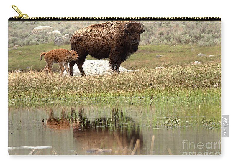 Yellowstone Zip Pouch featuring the photograph Bison Red Dog With A Wary Eye by Adam Jewell
