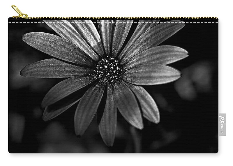Black And White Daisy Zip Pouch featuring the photograph Black and white daisy by Al Fio Bonina