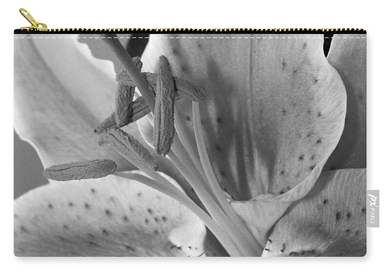 Lily Carry-all Pouch featuring the photograph Black and White Lily 1 by Amy Fose