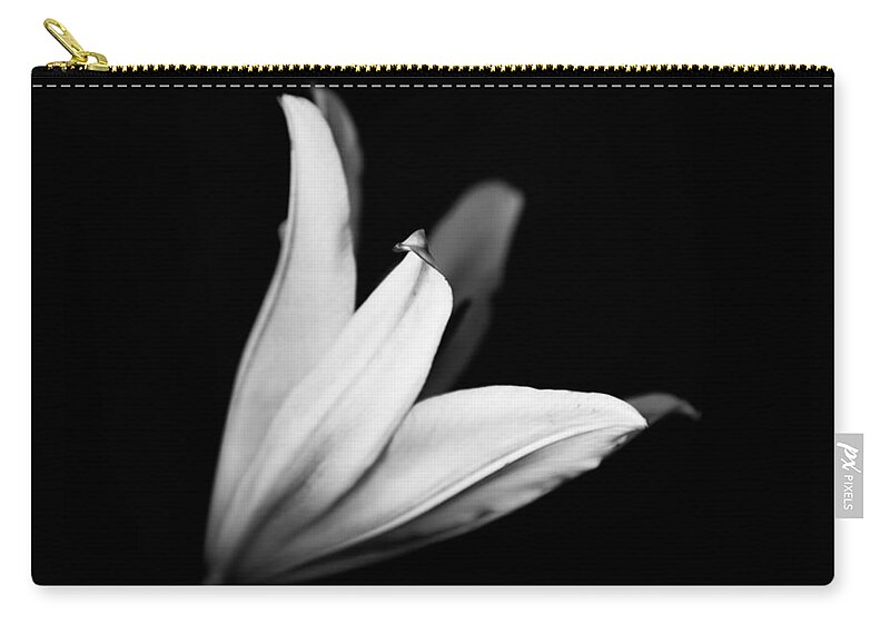 Lily Zip Pouch featuring the photograph Black and White Lily by Carrie Hannigan