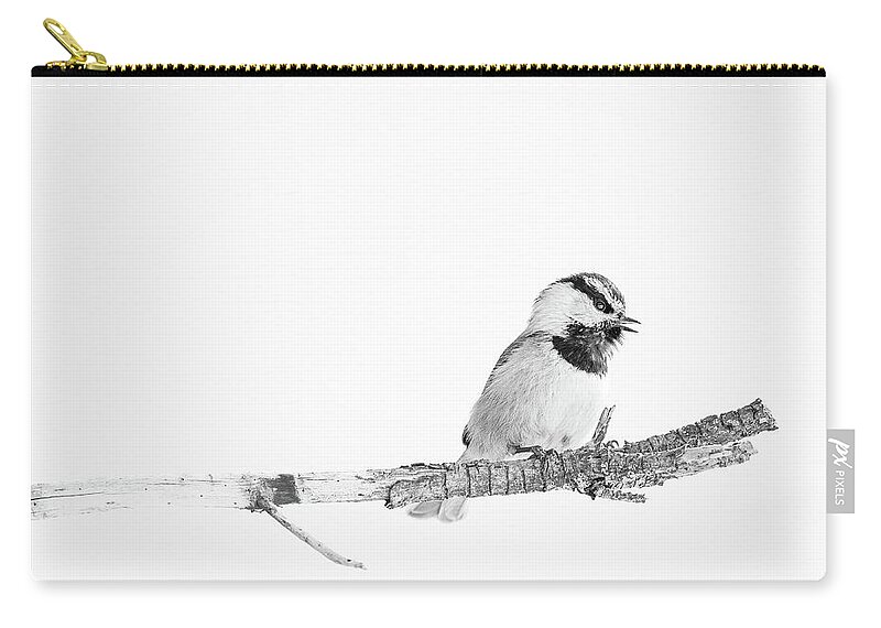 2020 Zip Pouch featuring the photograph Black and White Mountain Chickadee by Erin K Images
