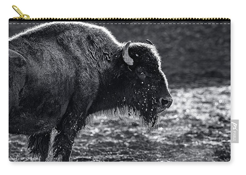 Andy Crawford Zip Pouch featuring the photograph Black-and-white Steaming Bison by Andy Crawford