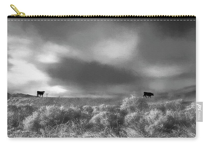 Going Zip Pouch featuring the photograph Black Angus in a Platinum Field by Wayne King