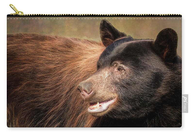 Wildlife Zip Pouch featuring the photograph Black Bear Profile by Patti Deters