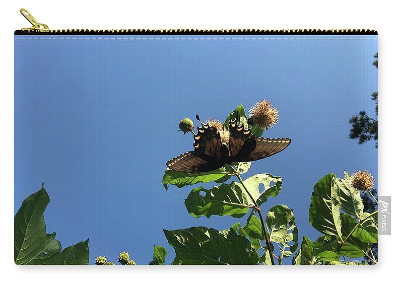 Butterfly Zip Pouch featuring the photograph Black Beauty by Catherine Wilson