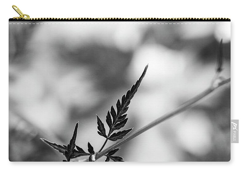 Black Cow Parsley Zip Pouch featuring the photograph Black Cow Parsley Foliage Monochrome by Tim Gainey