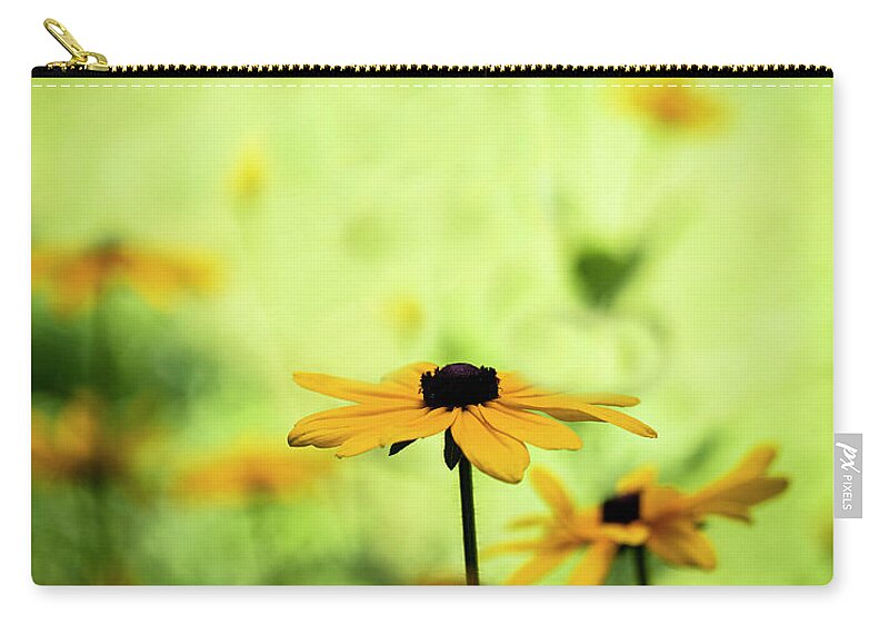 North Carolina (nc) Zip Pouch featuring the photograph Black-eyed Susans in Sun and Shade by Charles Floyd