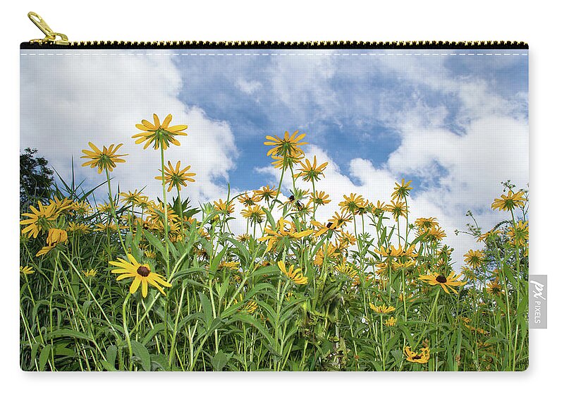 Black-eyed Susans Zip Pouch featuring the photograph Black-eyed Susans by Lisa Blake