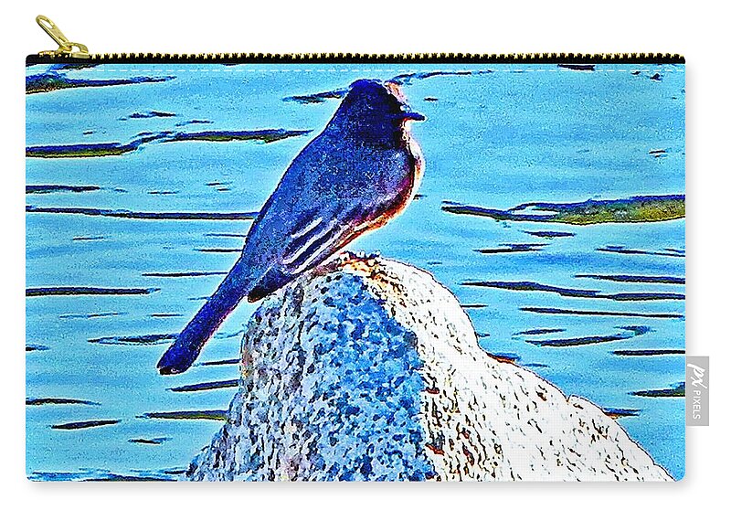 Bird. Birds Zip Pouch featuring the photograph Black Phoebe Mid by Andrew Lawrence