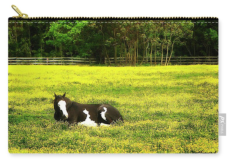 Photo Zip Pouch featuring the photograph Black Pinto -2 by Alan Hausenflock